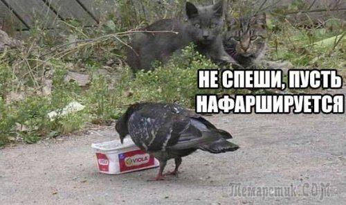 Генеpал обходит казаpмы. Заходит в одну Генеpал обходит казаpмы. Заходит в одну анекдоты