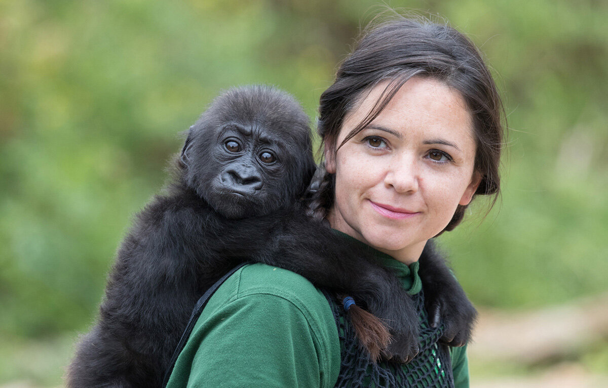 Девушка с детенышем гориллы