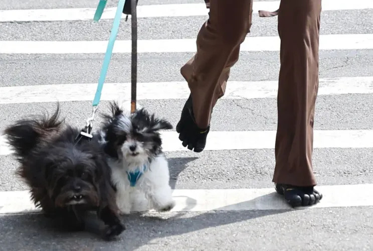 Ирину Шейк в образе с декольте засняли на прогулке в Нью-Йорке встречалась, Ирина, ШейкИрина, Брэдли, которая, голливудского, Роналду, Криштиану, роман, этого, рассталась, четыре, которым, Купера, актёра, восьмилетнюю, экссупругом, воспитывает, ScervinoИрина, Ermanno
