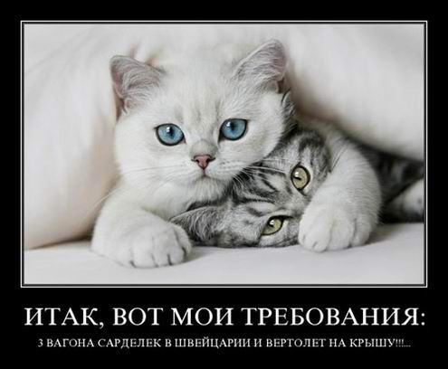 Ежедневная порция прикольных демотиваторов для вашего отличного настроения!