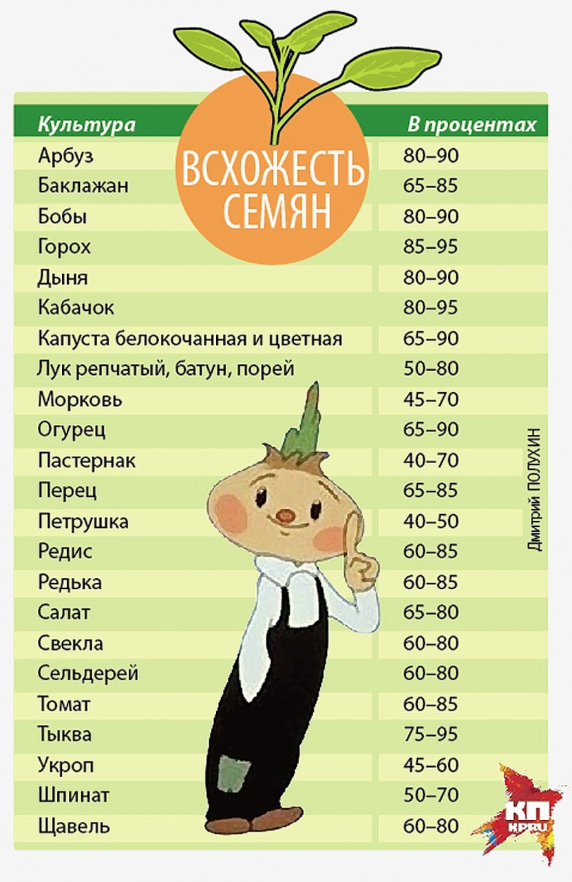 Всхожести 100% в природе не существует. Фото: Дмитрий ПОЛУХИН