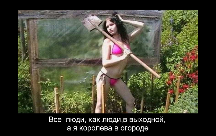 Классные, веселые и забавные демотиваторы из нашей жизни Классные, веселые и забавные демотиваторы из нашей жизни демотиваторы свежие,смешные демотиваторы,юмор