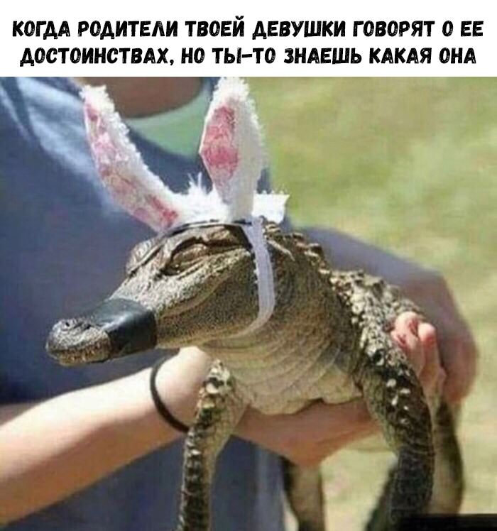 Немного мемов Немного мемов