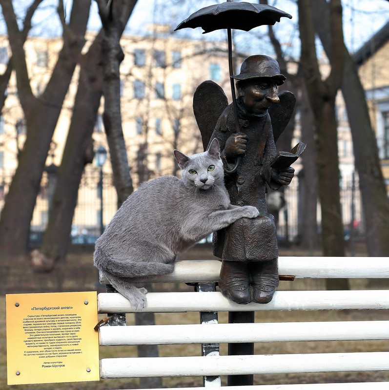 Ангел и Кот Ангел и Кот