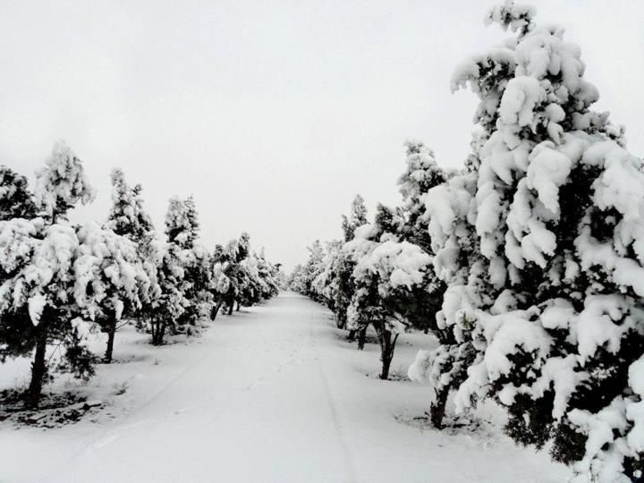 Иран: необычный и многоликий Иран: необычный и многоликий иран,мир,путешествие,самостоятельные путешествия,страны