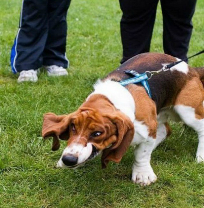 19 сумасшедших кадров, на которых замерло время 19 сумасшедших кадров, на которых замерло время