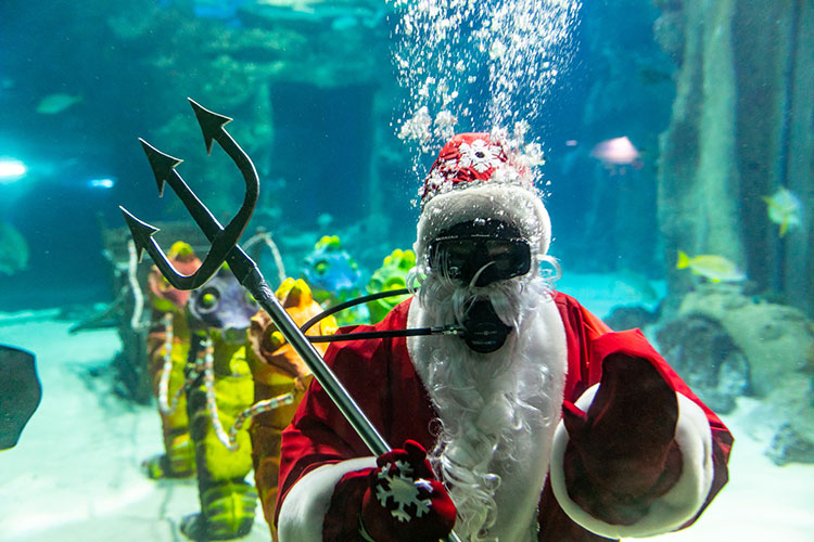 Павел Деревянко с женой и дочерьми, Анастасия Стоцкая и другие на премьере мюзикла с участием животных Павел Деревянко с женой и дочерьми, Анастасия Стоцкая и другие на премьере мюзикла с участием животных Звезды,Новости о звездах