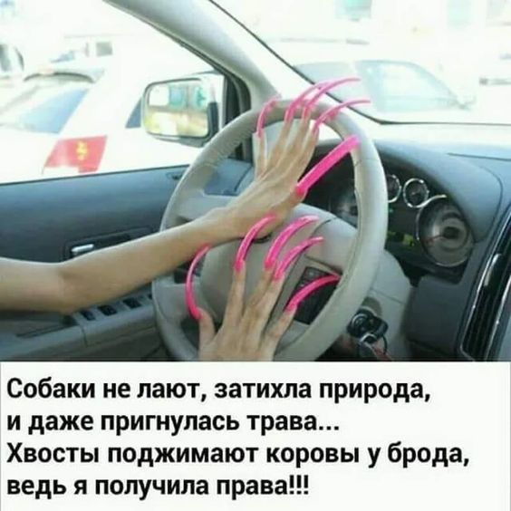 Свежие убойные картинки с шутками 
