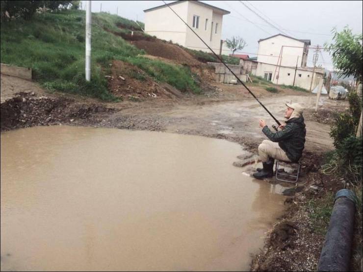 Подборка прикольных картинок  приколы,смешные картинки,юмор