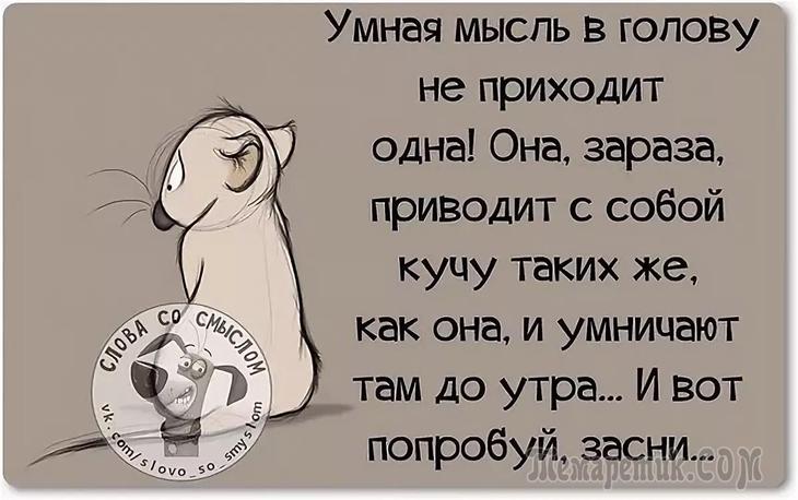 Днем рождения, картинки с мудрыми мыслями о жизни с юмором