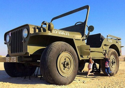 Размер имеет значение (35 фото)