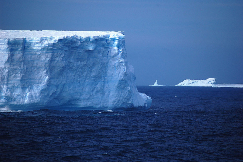  Айсберги в Южном океане.  животные, море, океан, природа, рыба