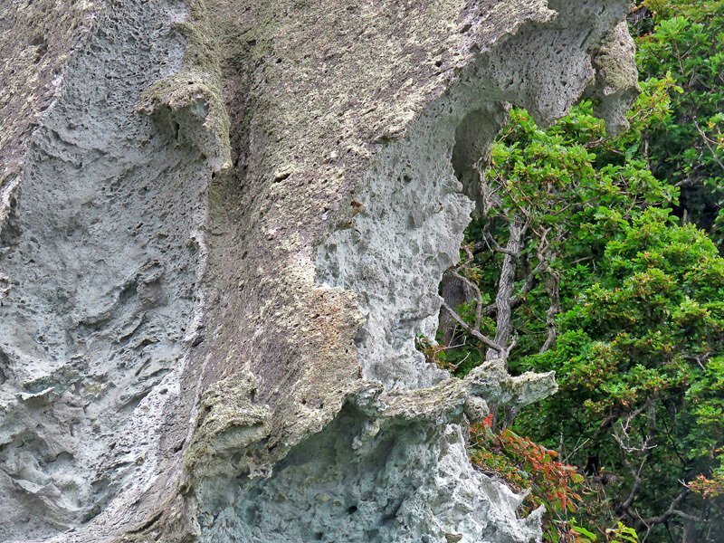 Кунашир: мыс Столбчатый Кунашир: мыс Столбчатый