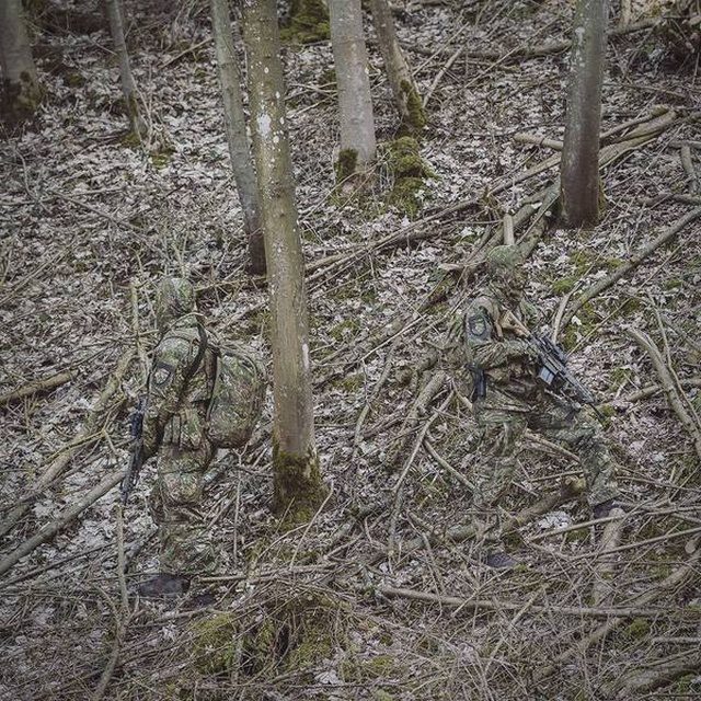 Забавные картинки в ассортименте Забавные картинки в ассортименте