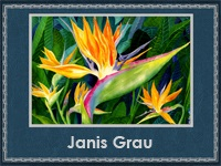Janis Grau 