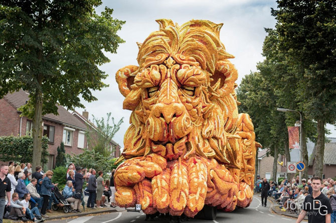 Как прошёл ежегодный парад цветов в Нидерландах