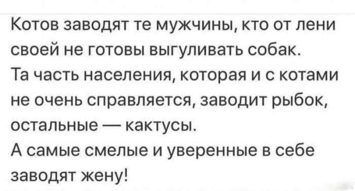 Смешные картинки и анекдоты для отличного настроения! Смешные картинки и анекдоты для отличного настроения!