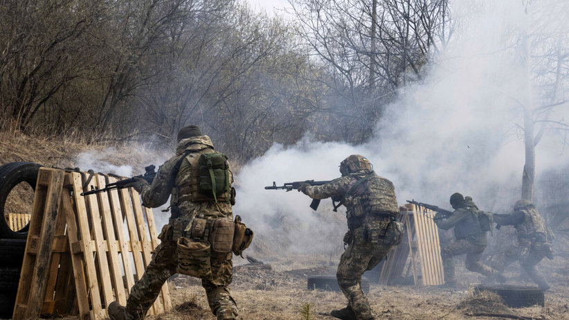 Польша является единственной страной ЕС, где каждый месяц обучают по два батальона ВСУ, и...
