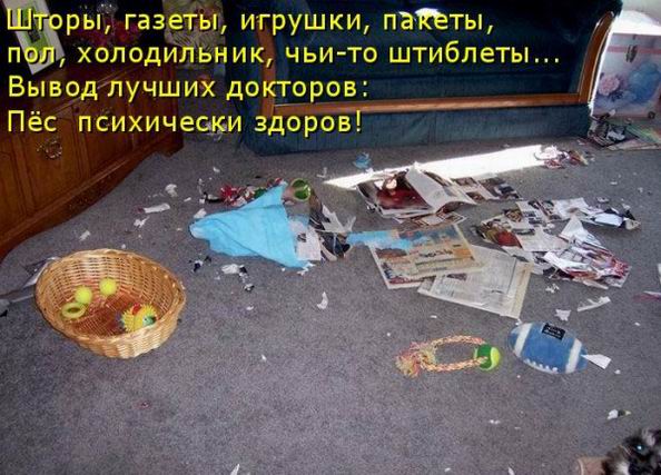 Мысли вслух :)