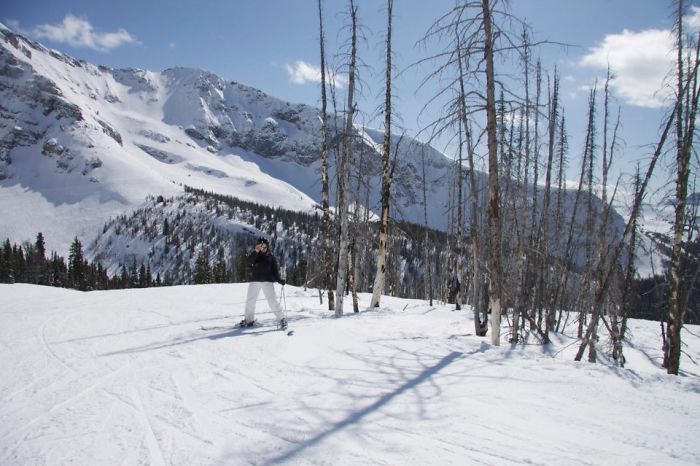 20 ярких фотографий, на которых запечатлены удивительные совпадения, которые дарят шанс поверить в чудеса 20 ярких фотографий, на которых запечатлены удивительные совпадения, которые дарят шанс поверить в чудеса