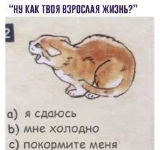 Приколы про взрослую жизнь Приколы про взрослую жизнь позитив,смешные картинки,юмор