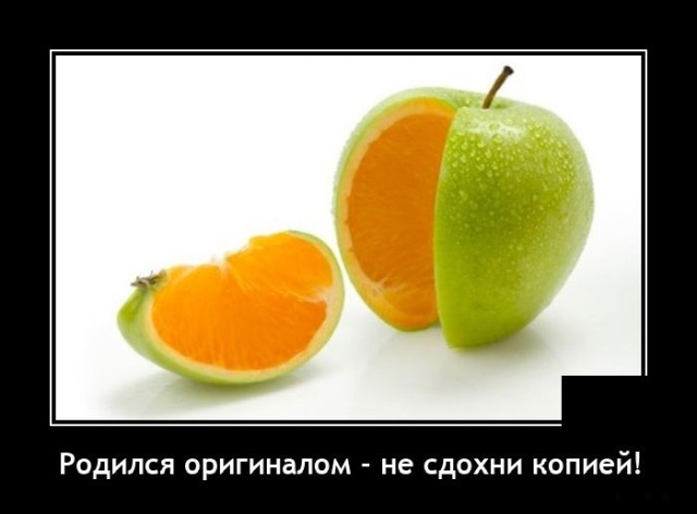 Самые новые демотиваторы  демотиваторы