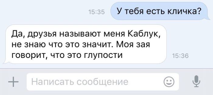 Смешные и веселые картинки с надписями со смыслом (11 фото)