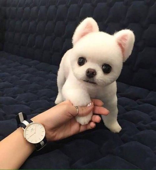 Прикольные картинки пятницы (35 шт)