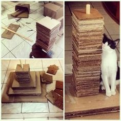 Картонные идеи для котиков для дома и дачи,идеи и вдохновение