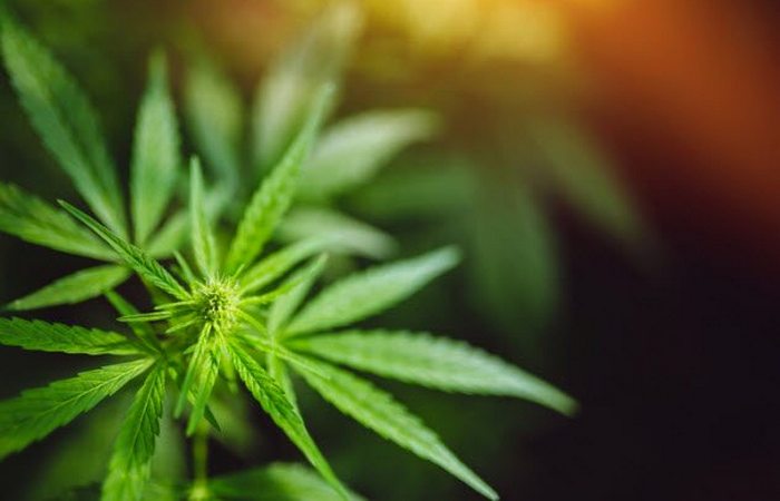 Великие изобретения, которые мир никогда не увидит доказательства