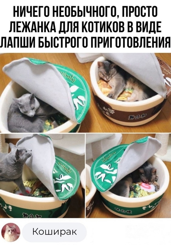Редкие сволочи встречаются всё чаще... Редкие сволочи встречаются всё чаще... мужчина, Марковича, человек, нейтрона, рассказывают, школу, семечки, только, Мужчина, нужно, кладут, потом, атомной, просто, легче, перечисляет, Простите, записывает, всетаки, котлетамиПить