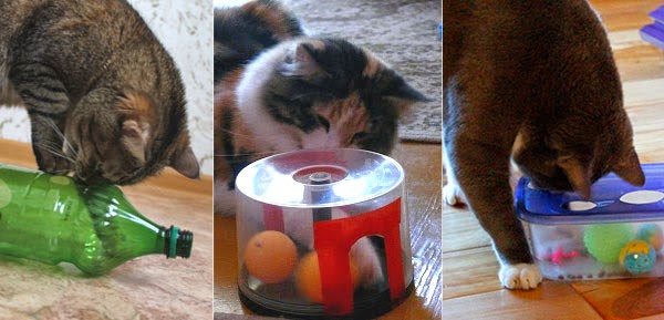Игрушки для кошек своими руками из картона для дома и дачи,идеи и вдохновение,своими руками