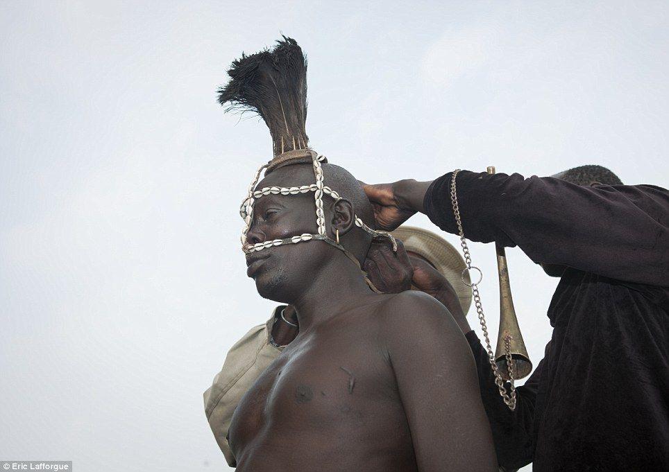 Мужчины эфиопского племени пьют кровь с молоком, чтобы получить звание самого толстого жителя деревни 