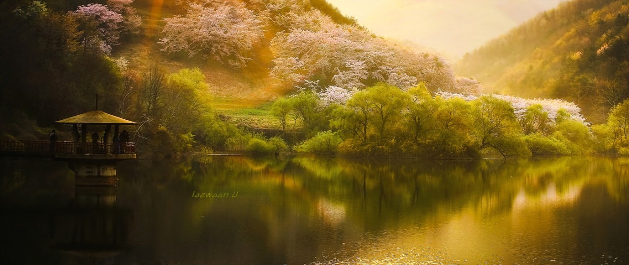 Фотография Springtime автор Jaewoon U на 500px