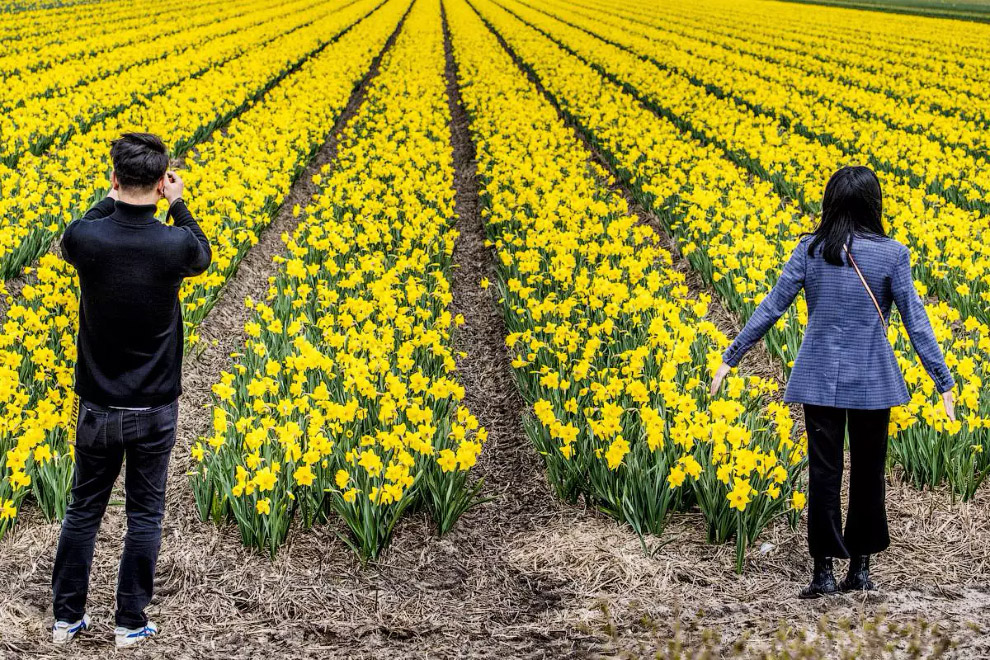 Фотография весны во всем мире