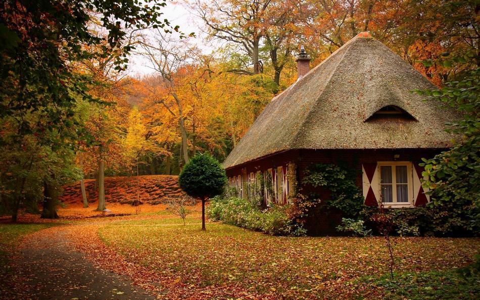 Самые красивые дома в лесу разное