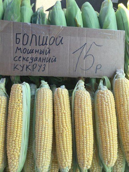 Веселые и смешные картинки с надписями со смыслом (12 фото)
