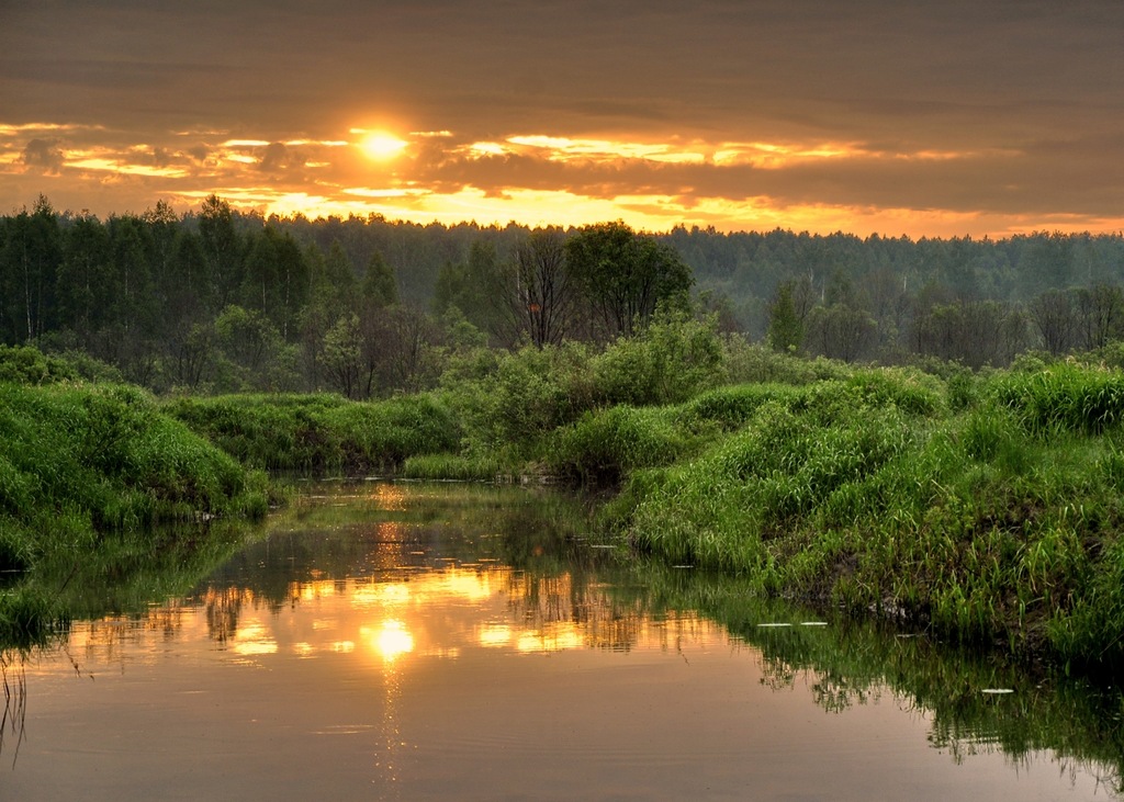 Земля так несравненно хороша! Земля так несравненно хороша! природа