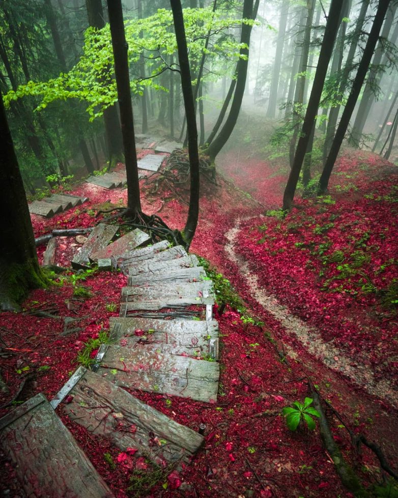 Швейцария, которая поражает с первого взгляда Швейцария, которая поражает с первого взгляда путешествие,Фотография,Швейцария