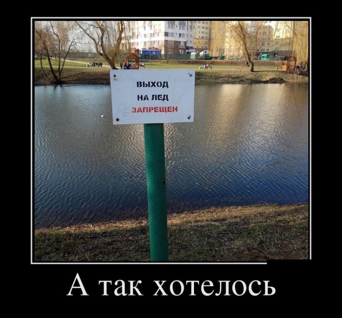 Демотиваторы (30 фото)