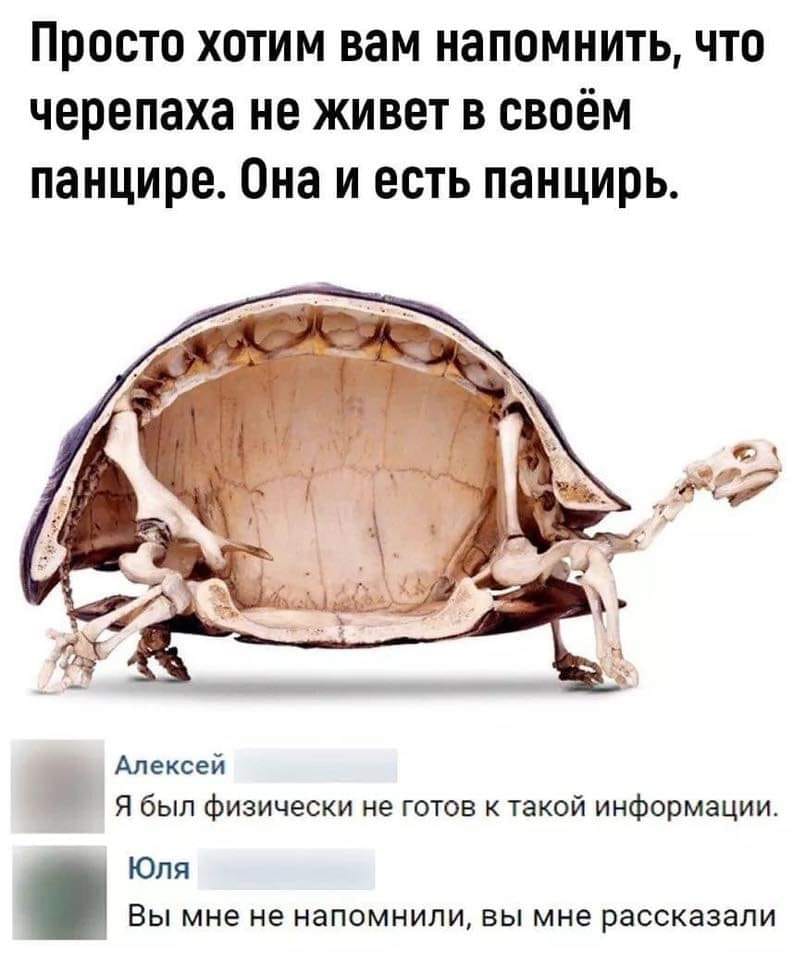 — Мам, а ведь доктор делает человеку больно?... субботу, койку, пятницы, палате, койке, селят, место, только, сколько, умирает, палату, шутки, этаже, больницы, отделении, реанимационном, сделать, делать, храпит, после