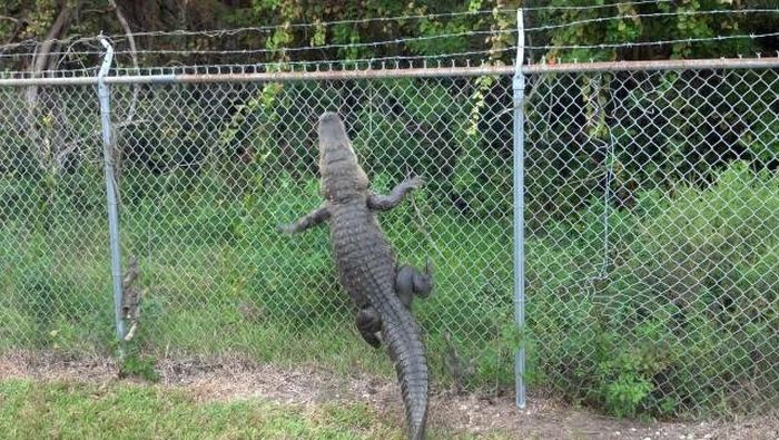 Красивые фото приколы из нашей жизни 