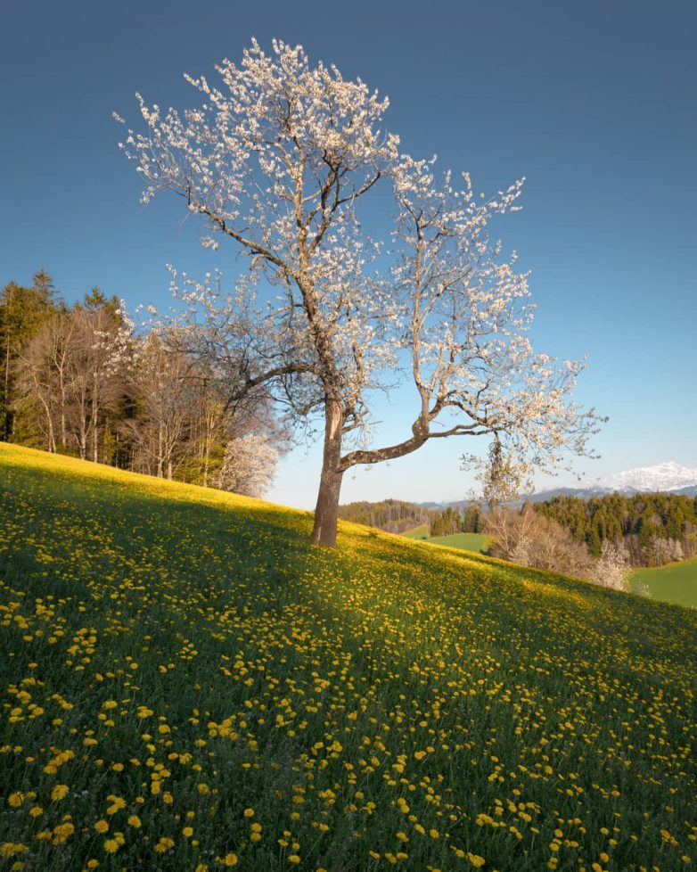 Швейцария, которая поражает с первого взгляда Швейцария, которая поражает с первого взгляда путешествие,Фотография,Швейцария