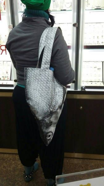 Подборка картинок. Вечерний выпуск (53 фото)