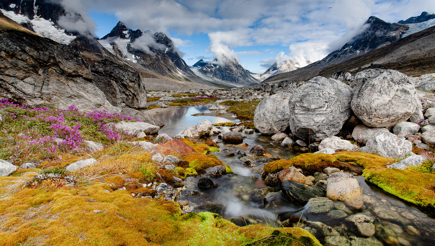 Гренландия: ледяное сердце Арктики, за которым  всегда охотились нации Гренландии, остров, острова, Гренландия, ГренландииФото, викингов, когда, около, Гренландию, которая, часть, находится, морских, право, составляет, почти, берега, сагам, летом, инуиты