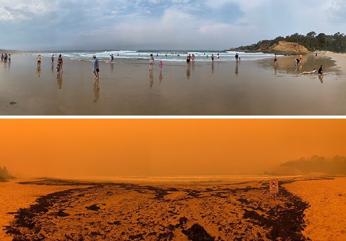 Последствия австралийских лесных пожаров в фотографиях