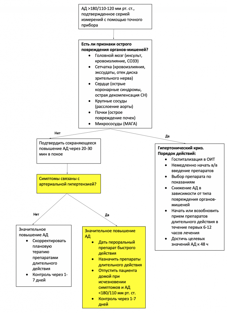 Гипертонический криз артериального, давления, пациентов, течение, артериальной, более, может, каждые, повреждения, повышение, тяжелой, действия, органовмишеней, гипертензии, часов, острой, лечения, снижения, которые, препараты