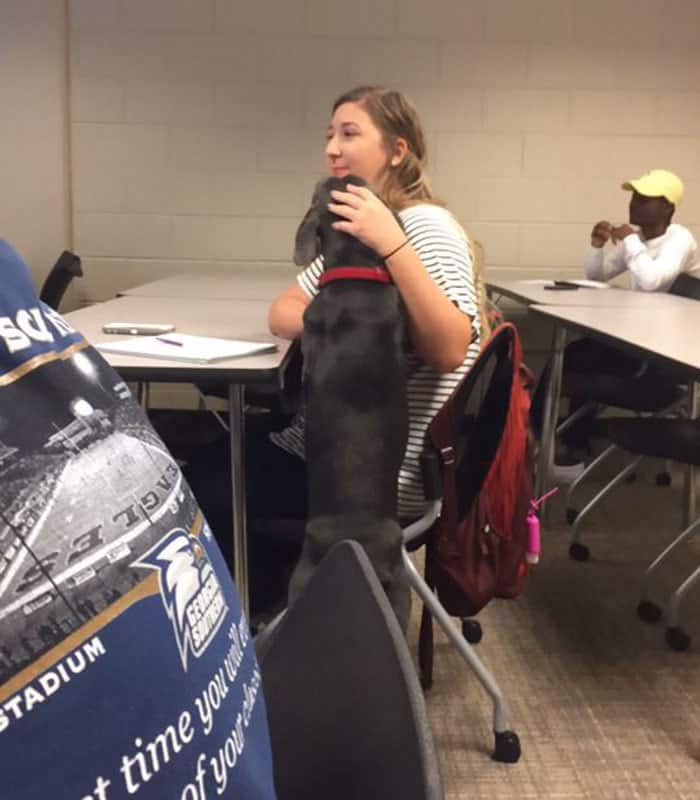 student-professor-dog-hurricane-irma-9