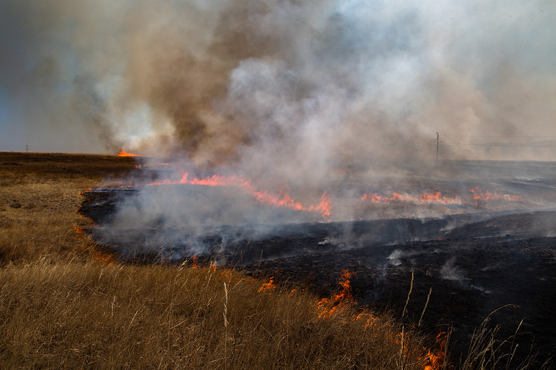 Лесные пожары в Забайкалье общество,россияне