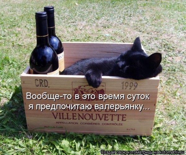 Мысли вслух :)
